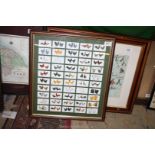 A framed selection of Players cigarette cards depicting different chickens, 20'' x 18".