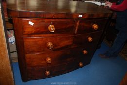 A circa 1900 Mahogany bow fronted Chest of three long and two short drawers with turned wooden