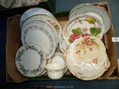 A quantity of plates including Royal Worcester, J&G Meakin, Crown Devon dish, Royal Doulton plates,