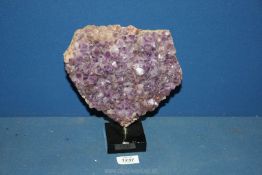 An Amethyst cluster on stand, 9 1/2'' tall x 8'' wide.