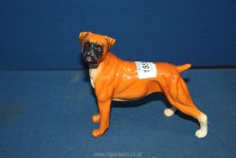 A Royal Doulton Boxer Dog, date 2005, 5 1/5'' tall x 6'' long, boxed.