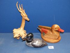 A treen letter holder in the form of a duck 7" long,