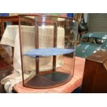 An attractive Victorian bow fronted glass display case/Cabinet with door opening to rear,