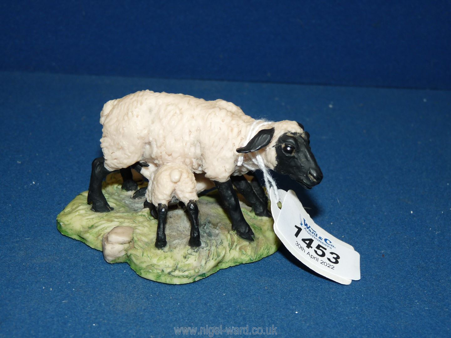 A Border Fine Arts model of a Suffolk ewe with twin lambs suckling.