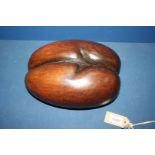 A rare beautifully polished Coco de Mer seed pod nut, approx 11" x 8".