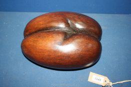 A rare beautifully polished Coco de Mer seed pod nut, approx 11" x 8".