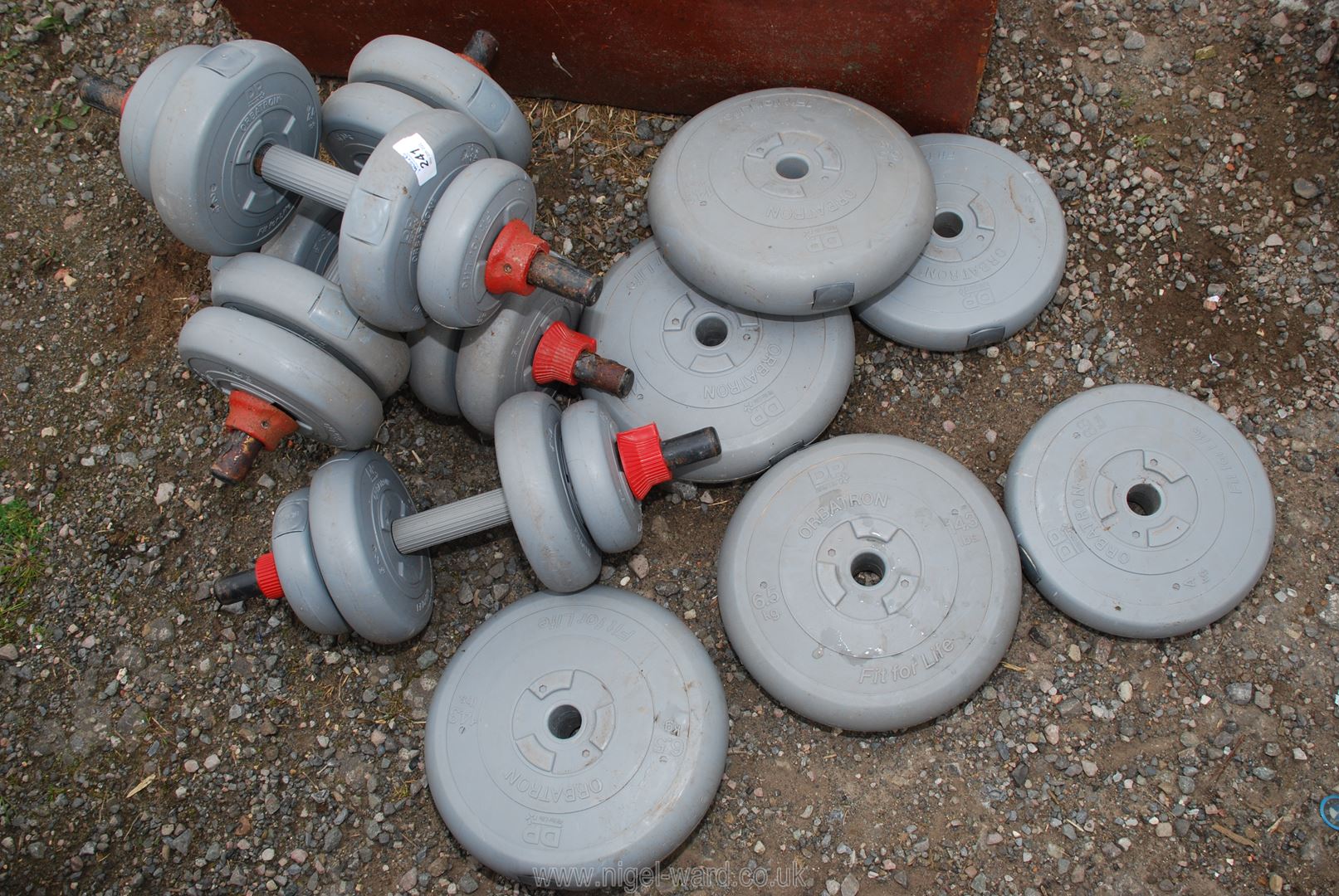 A quantity of fitness weights.