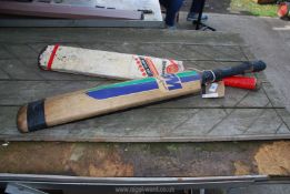 Two cricket bats.