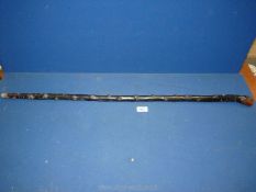 A Blackthorn knop stick,