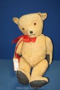 A well loved jointed Teddy bear having glass eyes and red bow 25" tall.