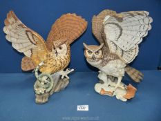 Two Franklin Mint owls; 'The Great Horned Owl' and 'The Eagle Owl' fighting a snake.