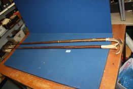 A horn handled thumb stick, 49 1/2'' long plus an antler handled stick.