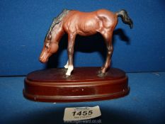 A Royal Doulton Foal on wooden plinth in brown matt finish, 6 1/4" wide x 5" tall.