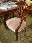 A set of eight Cuban Mahogany, including two carvers, Chairs,