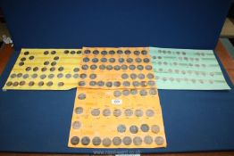 A quantity of old pennies on a card , a similar card of halfpennies and one of sixpences,