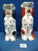 A good pair of antique Staffordshire begging spaniel jugs, one red and white, one black and white,