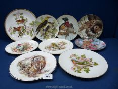 A quantity of display plates of birds including Royal Worcester, Spode, etc.