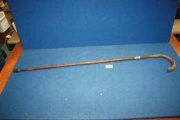A cane walking stick with silver band, Birmingham, possibly 1919 by H & F.