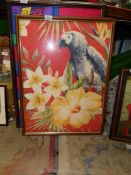 A framed silk scarf of a parrot by Vogue, 29" x 22".