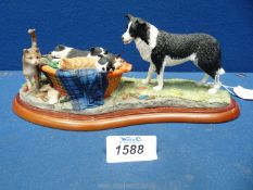 A Border Fine Arts studio figure 'Mixed Blessings' sheep dog puppies and kitten sleeping in clothes