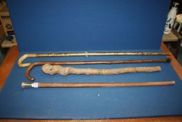 A silver topped cane, London, a wooden club and other walking sticks.