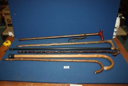 A quantity of walking sticks including knobbly stick, dogs head stick, plus four others.