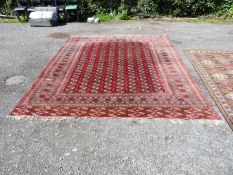 A red ground rug with red, cream and blue design and border, with fringing, 9'1'' x 11' 9''.