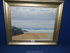 Meurig Williams: Oil painting of Anglesey coast.
