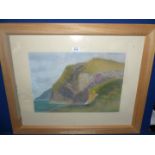 A framed and mounted Pastel, label verso "Thrift at Ceibwr Bay, 2005", no visible signature.