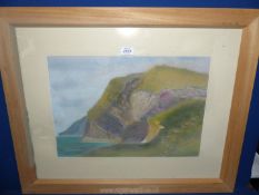 A framed and mounted Pastel, label verso "Thrift at Ceibwr Bay, 2005", no visible signature.