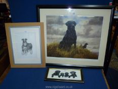 A framed and mounted charcoal drawing of a Schnauzer,