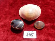 A silver mounted Agate brooch and a polished Agate pill box, plus a seashell.