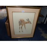 A large framed Watercolour depicting a deer, signed Sargent, 21 1/4" x 26 1/4".