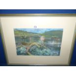 A framed and mounted Pastel drawing titled "Fallen Willow Ruardean", 23 1/2" x 18".