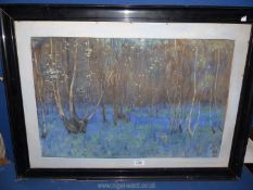 A framed unglazed Watercolour of a woodland scene with bluebells initialed lower right MM.