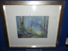 A framed and mounted Watercolour depicting a Woodland scene, no visible signature,