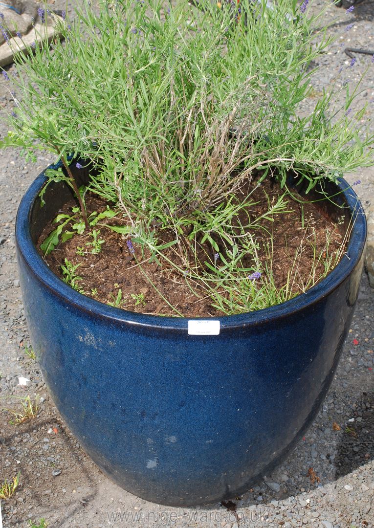 A pair of blue glazed Planters, 16" high x 15 1/2" diameter, one with lavender. - Image 3 of 3