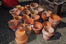A large quantity of terracotta pots.