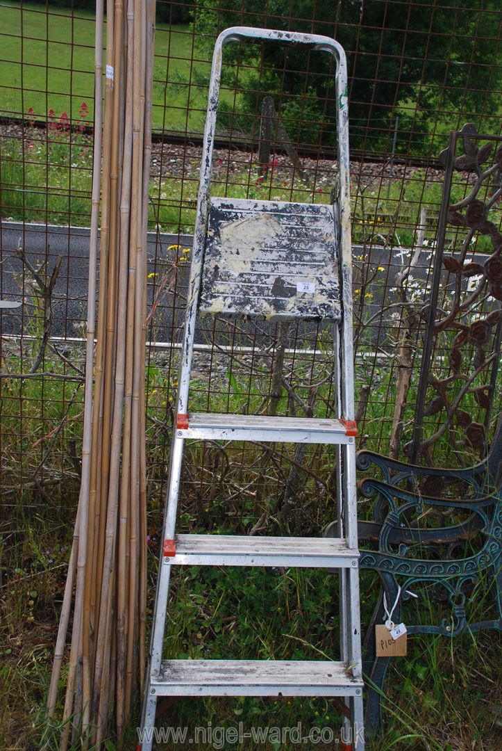 A four rung step ladder and a quantity of cane bean sticks.