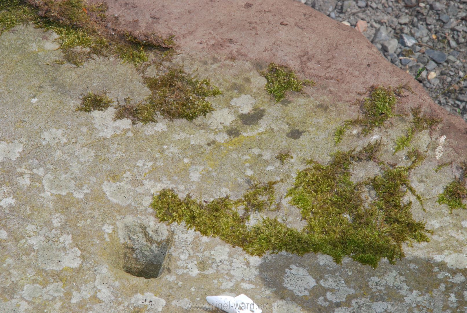 A stone plinth, 2' diameter x 5" thick. - Image 2 of 2