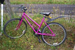 An Apollo 10 speed ladies bicycle.