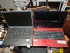 Two laptops; Packard & Bell and Fujitsu.