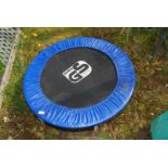 A small trampoline, 3' diameter.