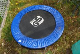A small trampoline, 3' diameter.