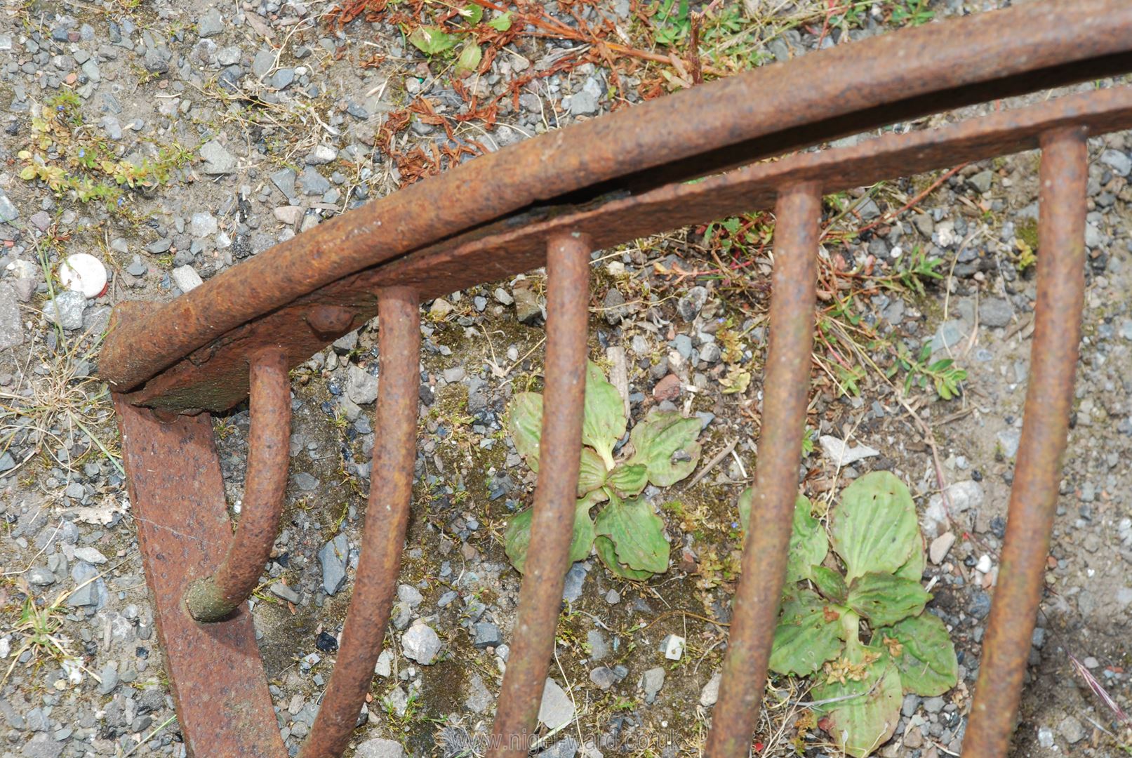 An old iron hay rack. - Image 2 of 2