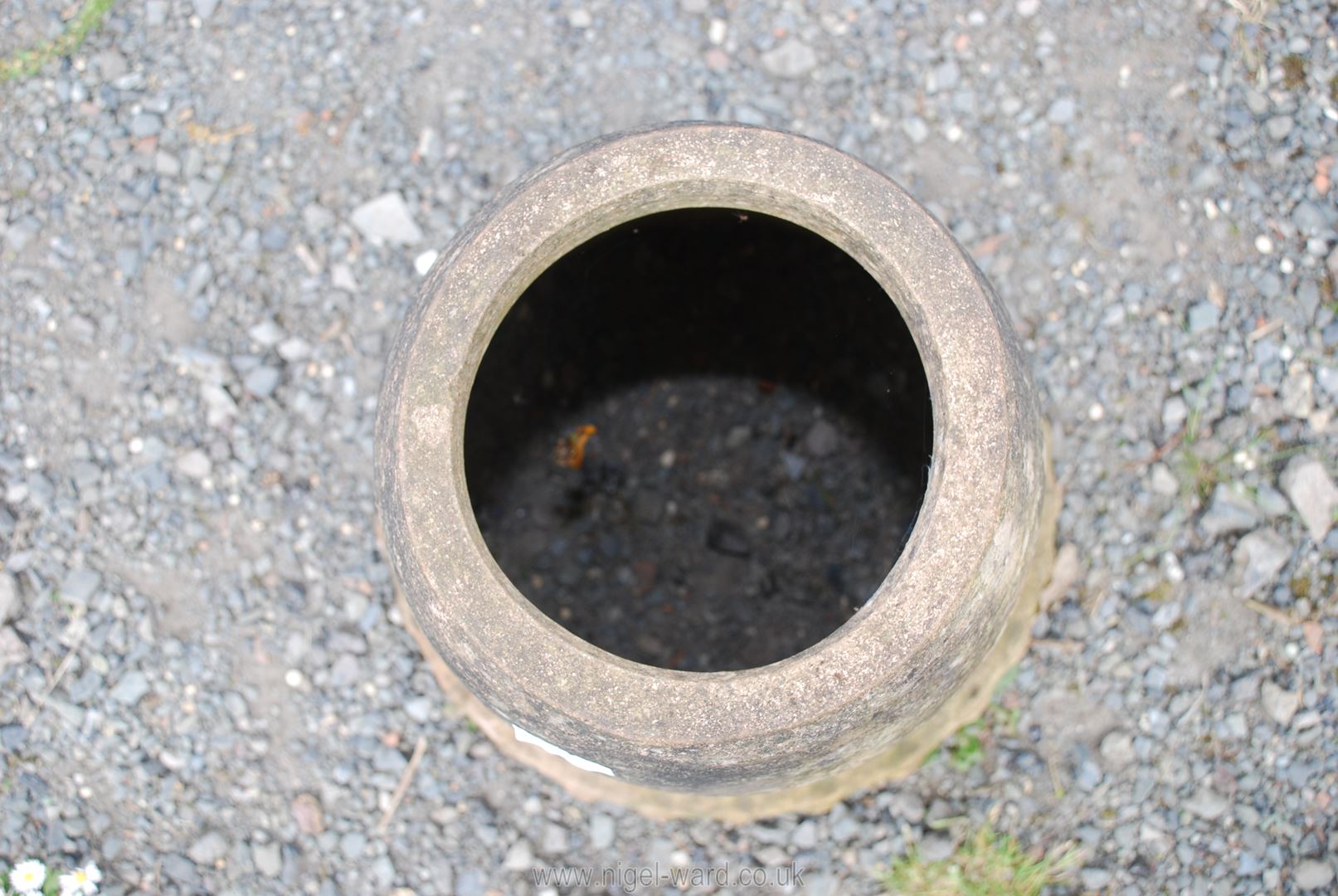 A terracotta Rhubarb Forcer with lid. - Image 3 of 3