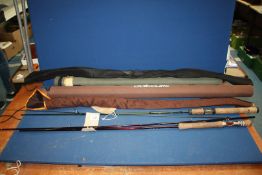 An Eagle 7' spinning rod and Sage Guideline 9' 3" fly rod (in travel tube).