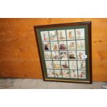 A framed and mounted set of 25 Players 'Famous Beauties' cigarette cards, glass to back cracked.