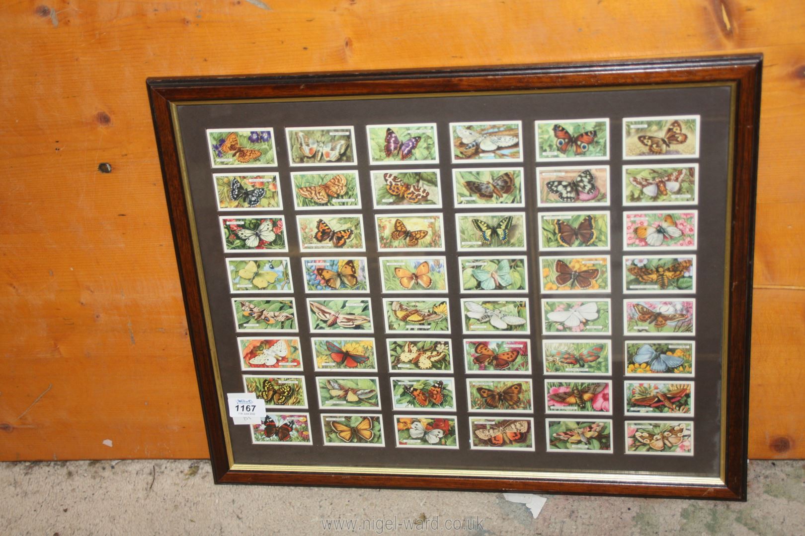 A framed and mounted set of Gallagher Ltd 'Butterflies' cigarette cards.