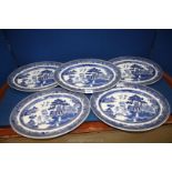 Five Johnson Bros. Willow pattern meat plates.